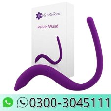Vibrating Pelvic Wand Price In Pakistan